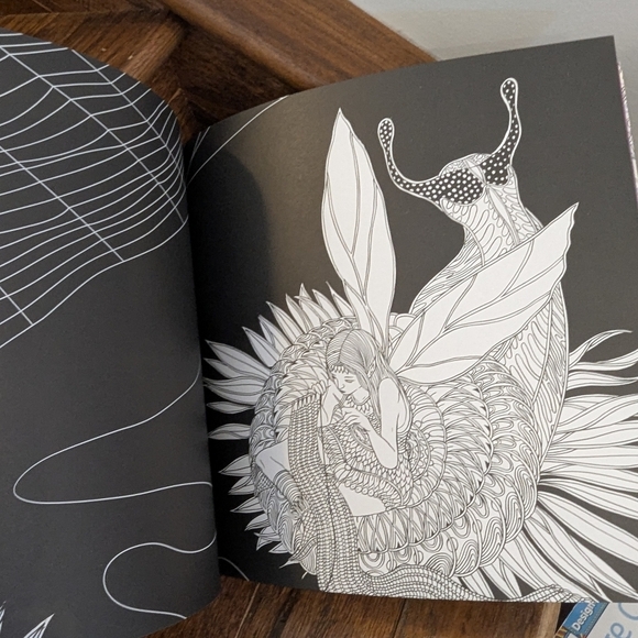 The Fairyland Colouring Book & Fairies in Wonderland 2 Coloring Books for adults - Picture 10 of 11